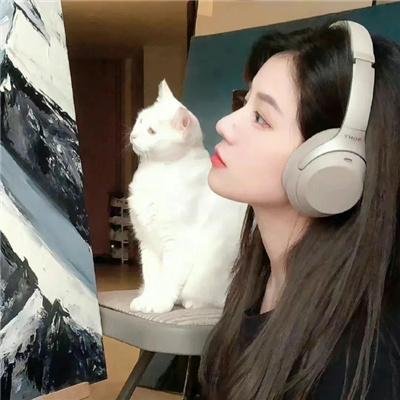 女孩的灵缇犬